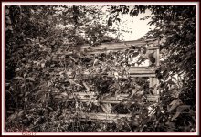 The Gate-8800-Edit.jpg