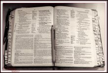 Gods Word-8777-Edit.jpg