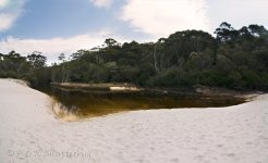 017_Chinamans Beach_2.jpg