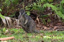 DSC_3516.jpg