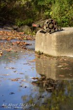 DSC_4574 low res.jpg