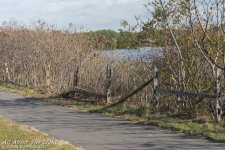 DSC_4612 low res.jpg