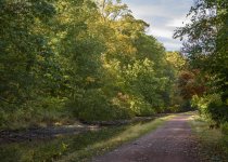 DSC_4589 - Copy 5x7 low res.jpg