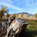 SBldrCreek-208.jpg
