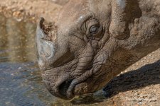 10-26-2017_0093-Edit-Edit-Edit.jpg