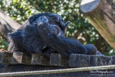 10-26-2017_0079.jpg