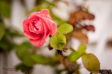20171028 color-9009.jpg