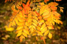 20171028 color-9012.jpg