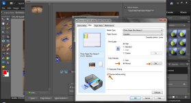 PSE printing options 2.jpg