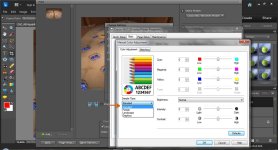 PSE printing options 3.jpg