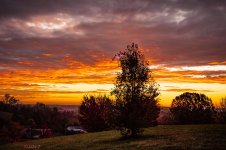Hard Frost Sunrise-9027.jpg