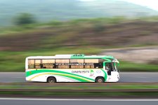 CanaraPinto_DSC_1390_006.JPG