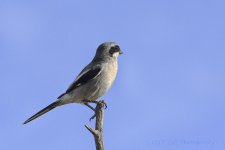 10-18-17-cr__D7K7835.jpg