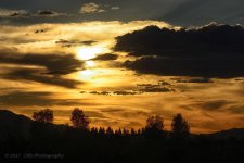 10-19-17-cr__D7K7841.jpg