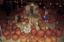 10-28-17-cr__7502644.jpg