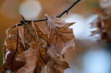 DSC_1714.jpg