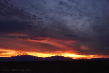 10-31-17-cr__7502665.jpg