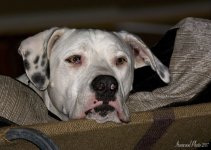 DSC_3642.jpg