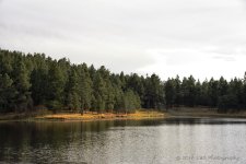 11-3-17-cr__7502691.jpg