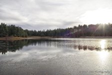 11-3-17-cr__7502702.jpg