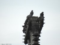 DSCN2716.jpg