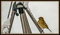 1-DSC_6177-Edit.jpg