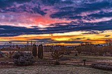 1-DSC_4149-Edit.jpg