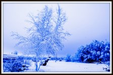 1-DSC_9649.jpg