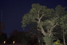 11-5-17-cr__7502724_01.jpg