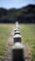 _DSC0453-Edit.jpg
