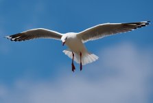 _DSC0374.jpg