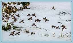 1-DSC_6187-Edit-001.jpg