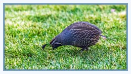 1-DSC_2882-Edit.jpg