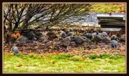 1-DSC_2861.jpg