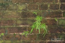 11-07-2017_0049.jpg