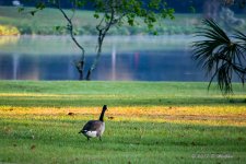 D73_1245-Edit.jpg