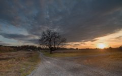 sunset, Birchwood-.jpg