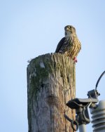 DSC_3641 low res.jpg