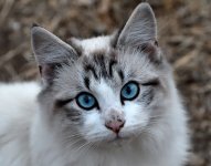 ROY_0221.JPG