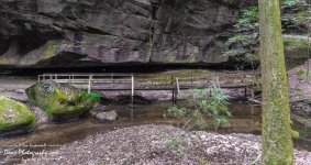 11-12-2017_0199-HDR-Edit.jpg