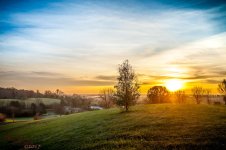 Morning Light-9351.jpg