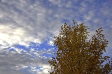 11-13-17-cr__7502997.jpg
