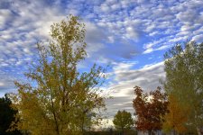 11-13-17-cr__7503000.jpg
