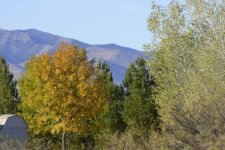 11-14-17-cr__D7K7961.jpg