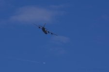 11-14-17-cr__D7K7965.jpg