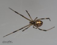 W_DSC_2911.jpg