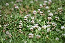 DSC_0063.jpg