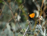 ROY_0568.JPG