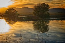 11-18-17-cr_7503034-ON1.jpg