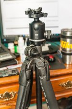New Stuff-9436.jpg